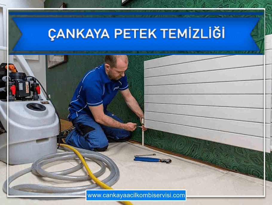 Çankaya Petek Temizleme
